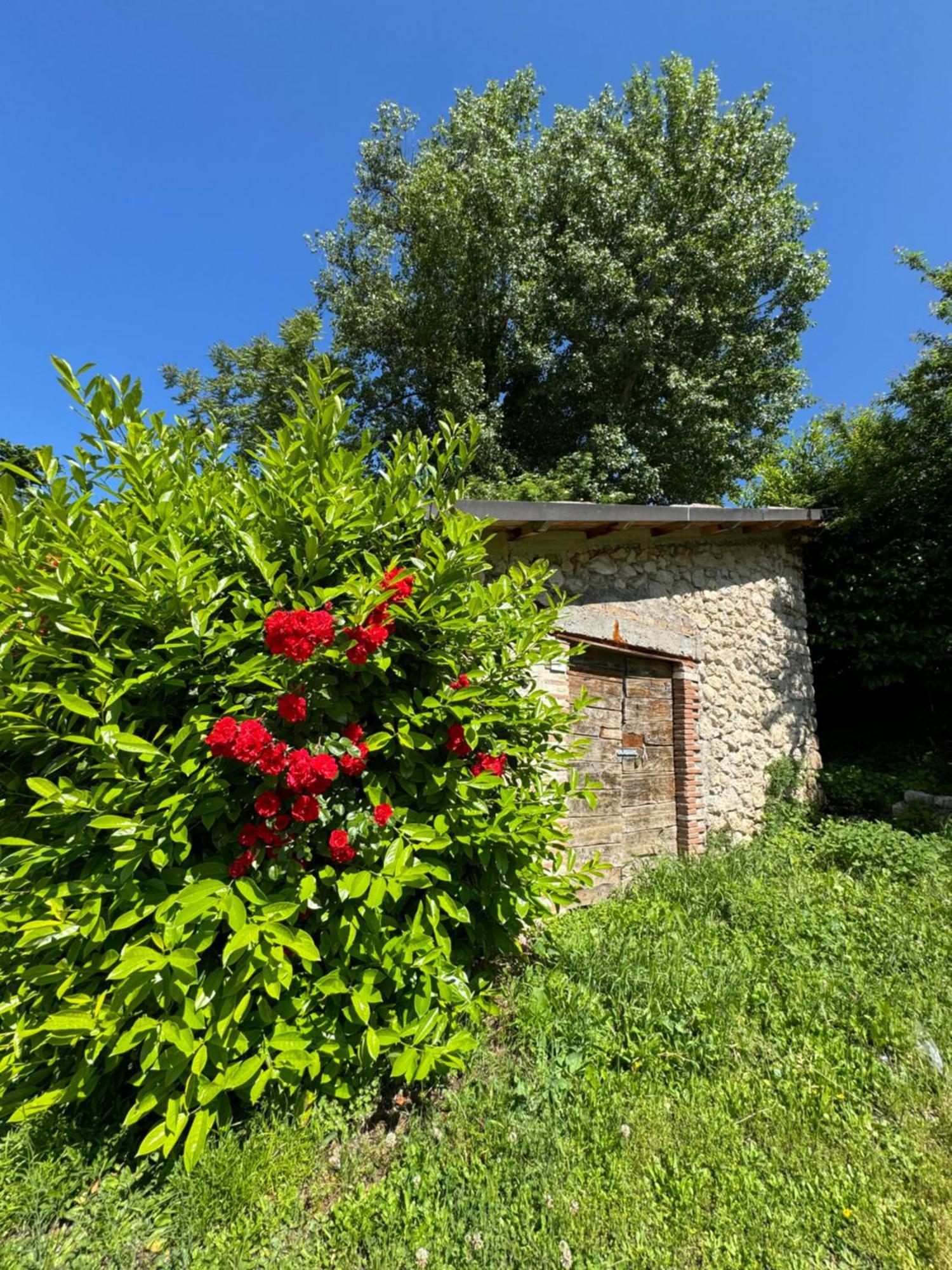 B&B Al Vecchio Mulino Celano Exterior foto